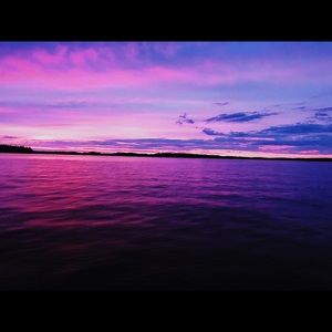 Meet your Posher, Scarlett